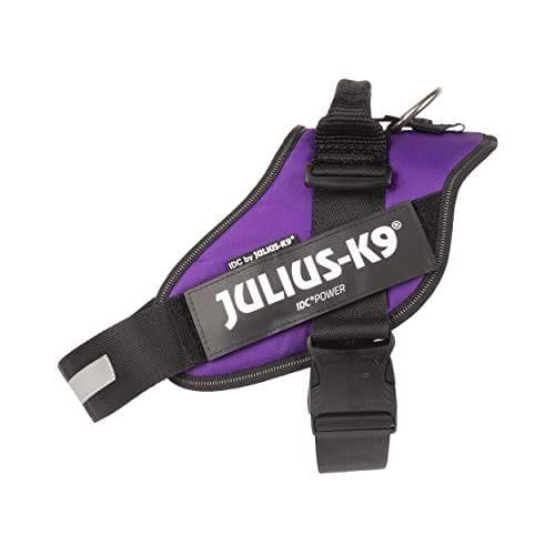 Julius-K9 - Arnés IDC Power