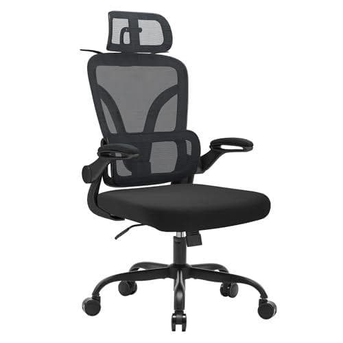 Ximstar - Silla ergonómica de oficina con soporte lumbar ajustable