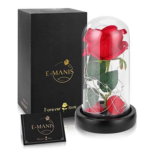 Kit de la Rosa Encanta de la Bella y la Bestia