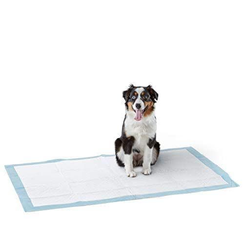 Amazon Basics Almohadillas de adiestramiento de perros y cachorros