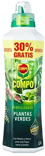 COMPO - Fertilizante de plantas verdes para plantas de interior, balcón y terraza COMPO - Fertilizante de plantas verdes para plantas de interior, balcón y terraza